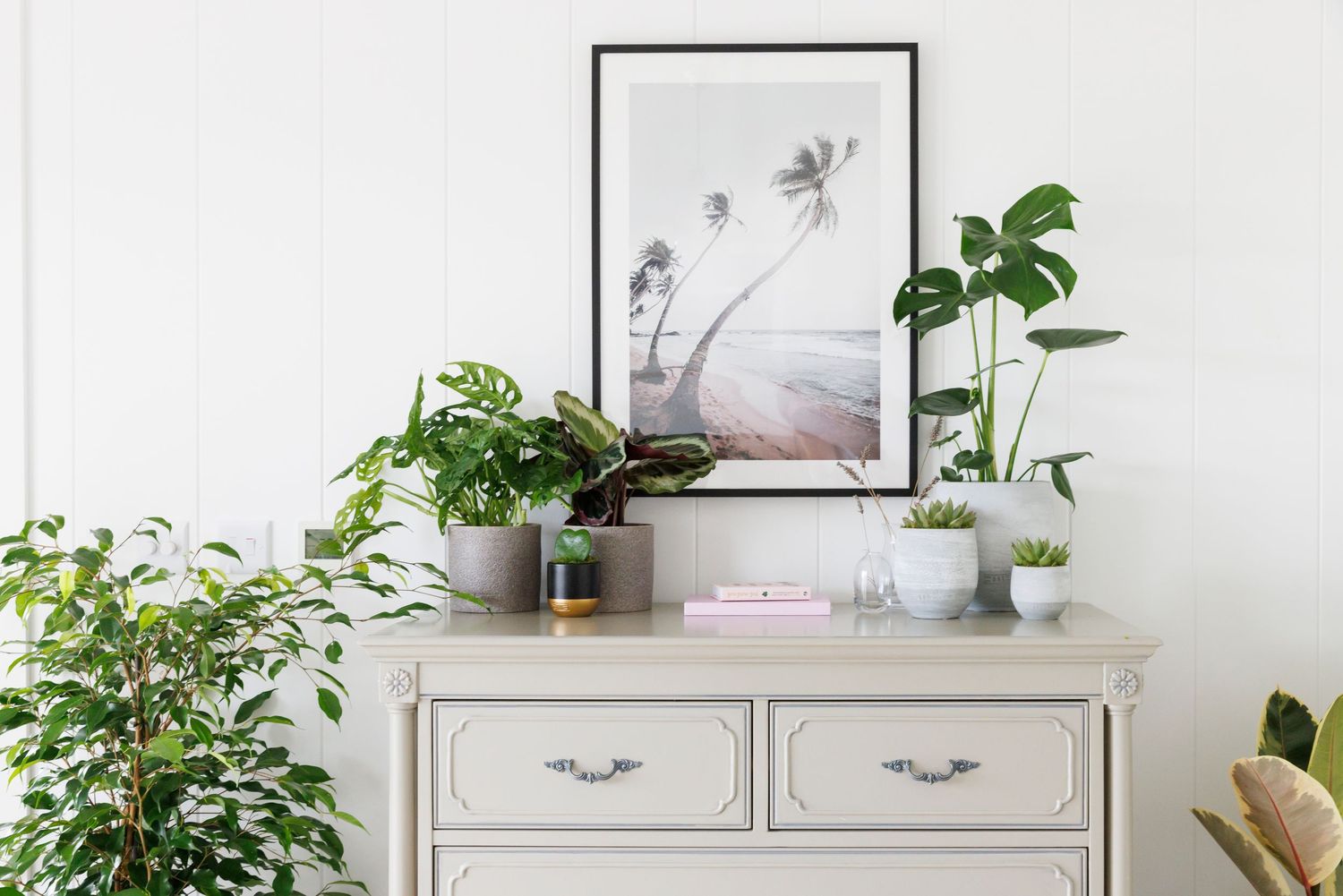 A bright white room features a vintage dresser decorated with potted plants and wall art in a minimalist style.
