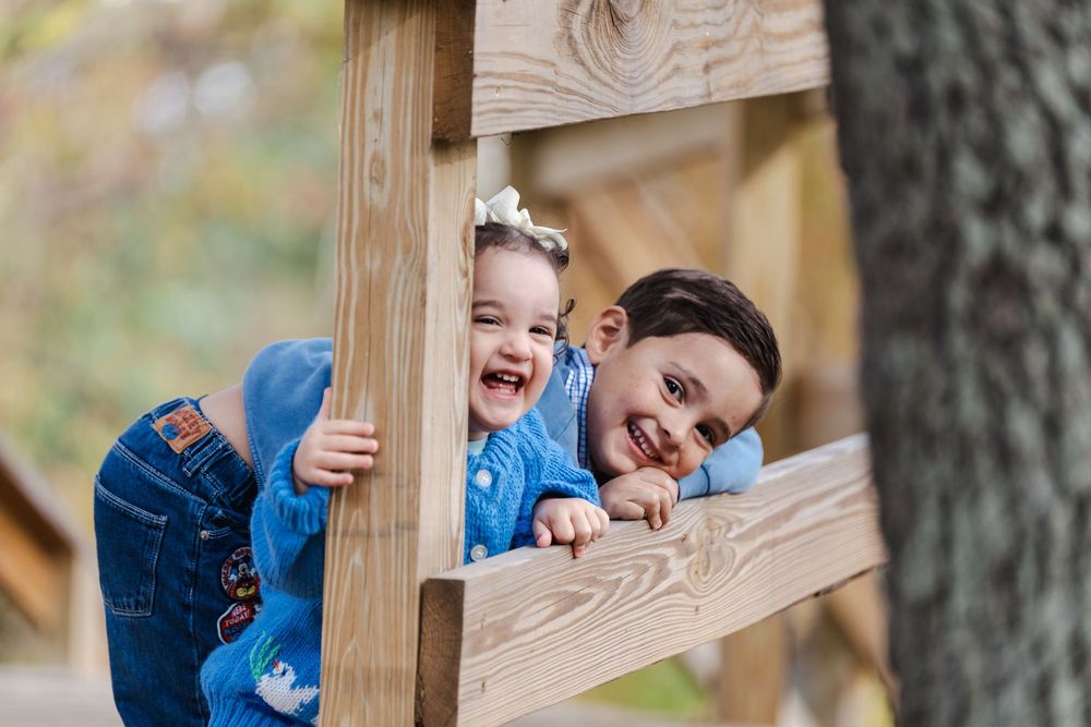 Kids laugh and play while looking through gaps in a wooden fence on a sunny day.