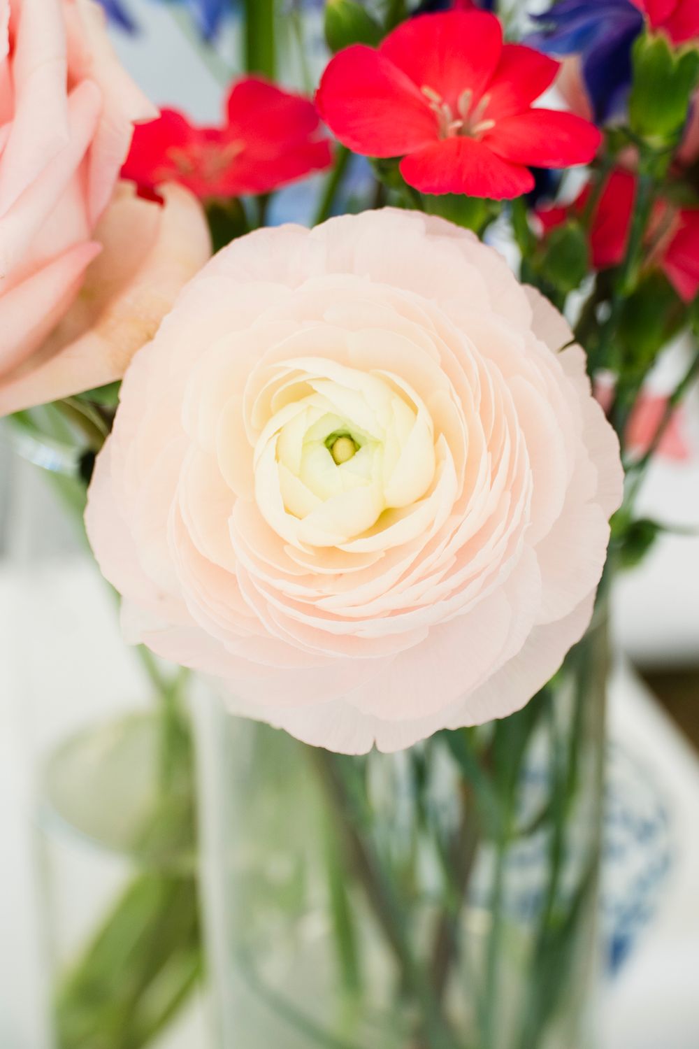 Close-up of a soft blush ranunculus bloom surrounded by red and pink flowers in a glass vase.