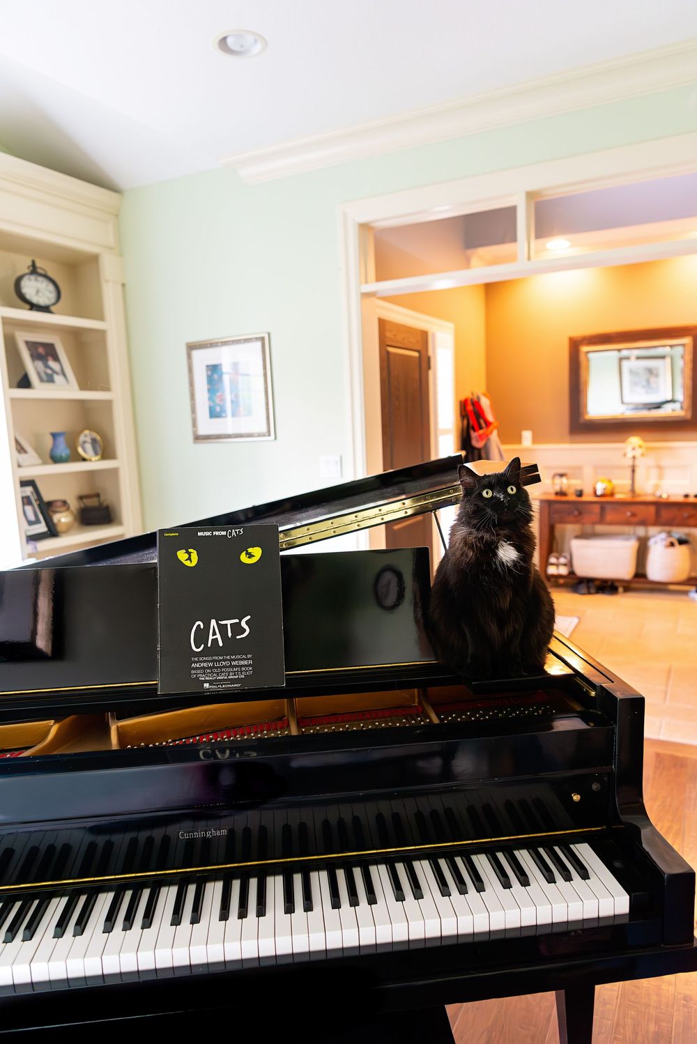 A black cat peeks over the top of a piano with 'CAT3' visible on the music stand.