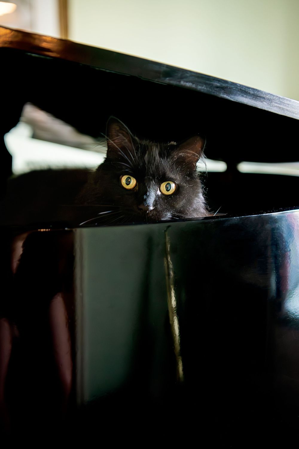 A black cat's glowing yellow eyes peer mysteriously through a dark gap under furniture in dramatic lighting.