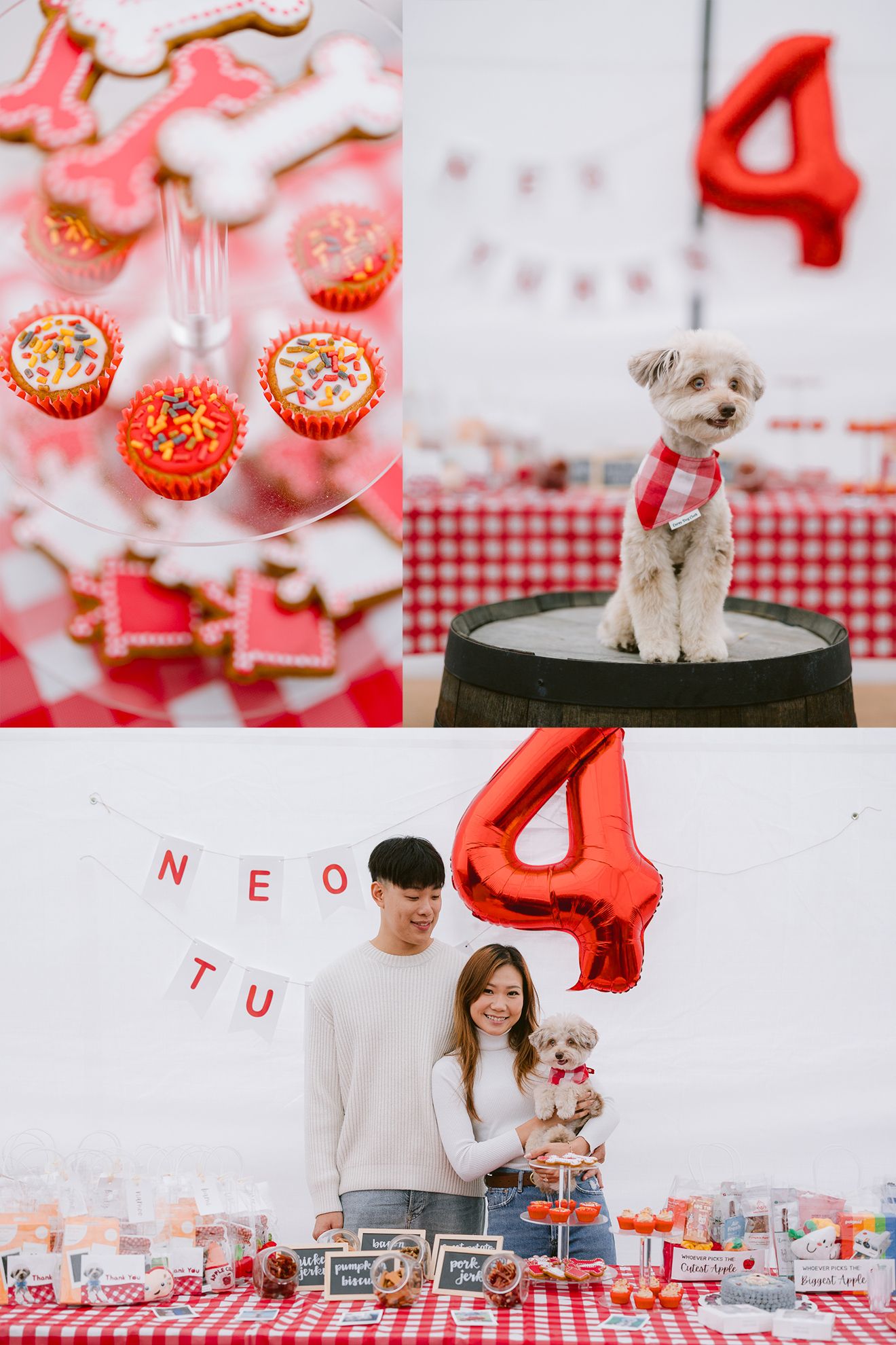 Furry Moments New York New Jersey Pet Photography