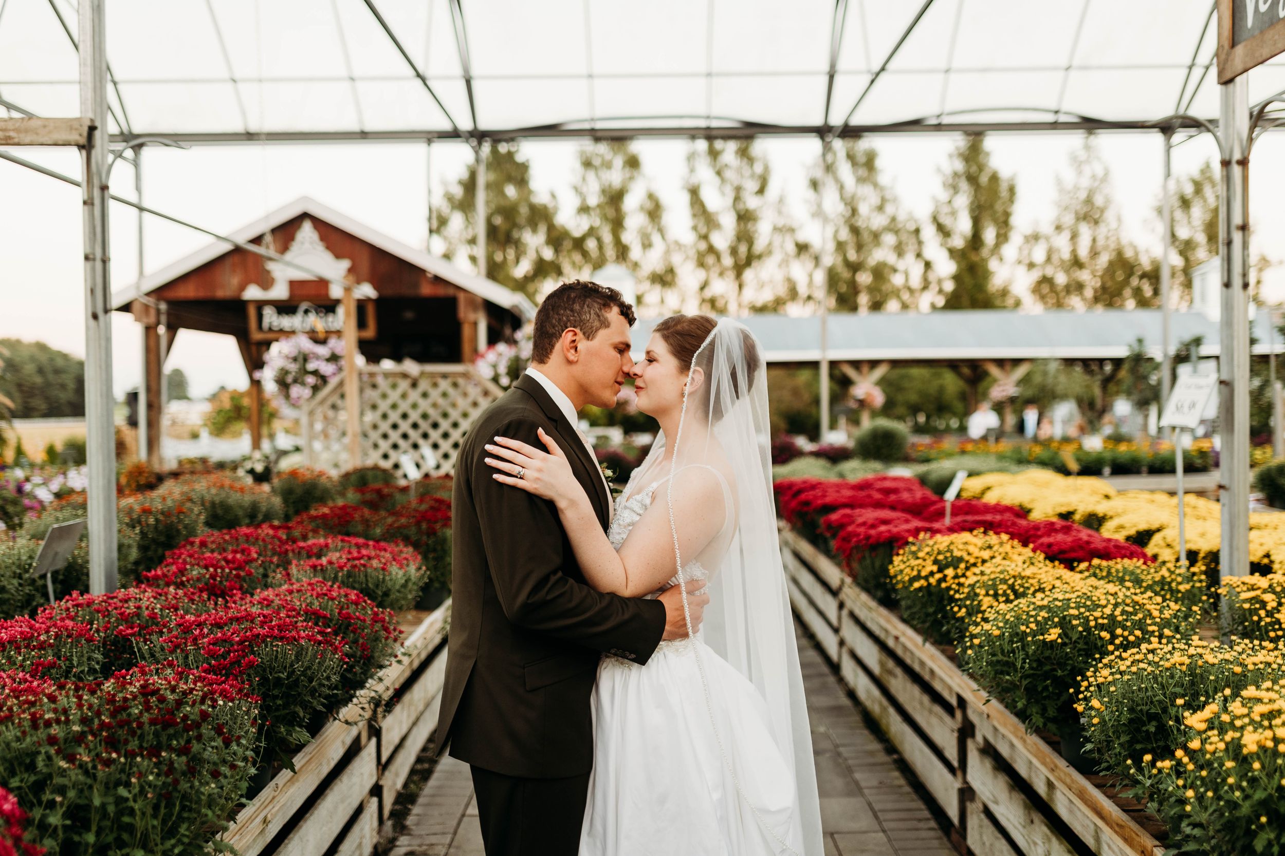 Bride and groom share a kiss surrounded by vibrant red and yellow flowers inside a greenhouse.