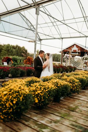 Wedding couple embraces tenderly among rows of yellow chrysanthemums inside a bright greenhouse.