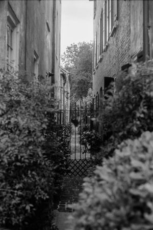 A narrow alleyway between buildings with an ornate iron gate and lush greenery growing along brick walls.