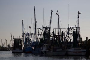 Silhouettes of fishing boats and shrimp trawlers docked at harbor during twilight.