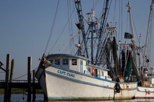 White and blue fishing trawler 'Safe Tank' moored at wooden dock.