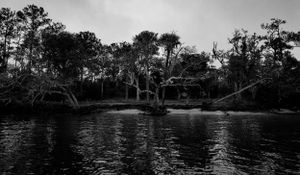 Black and white landscape of trees along a riverbank with moody reflections.