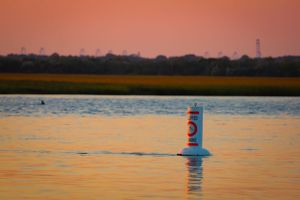 Navigation buoy floating in water during golden sunset with marshland in background.