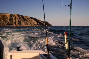 Fishing rods mounted on a boat with coastal cliffs visible in the background.