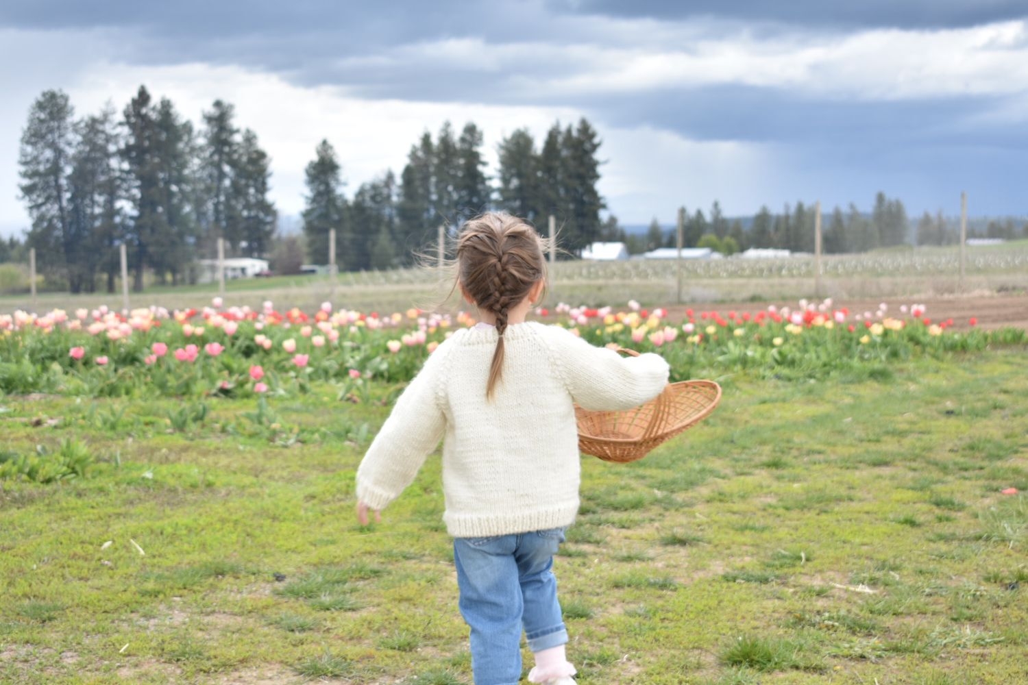Person in denim stands in a field with mountains and trees in the distance.