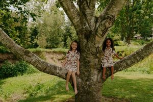 A majestic old tree with sprawling branches creates a natural playground in a lush green setting.