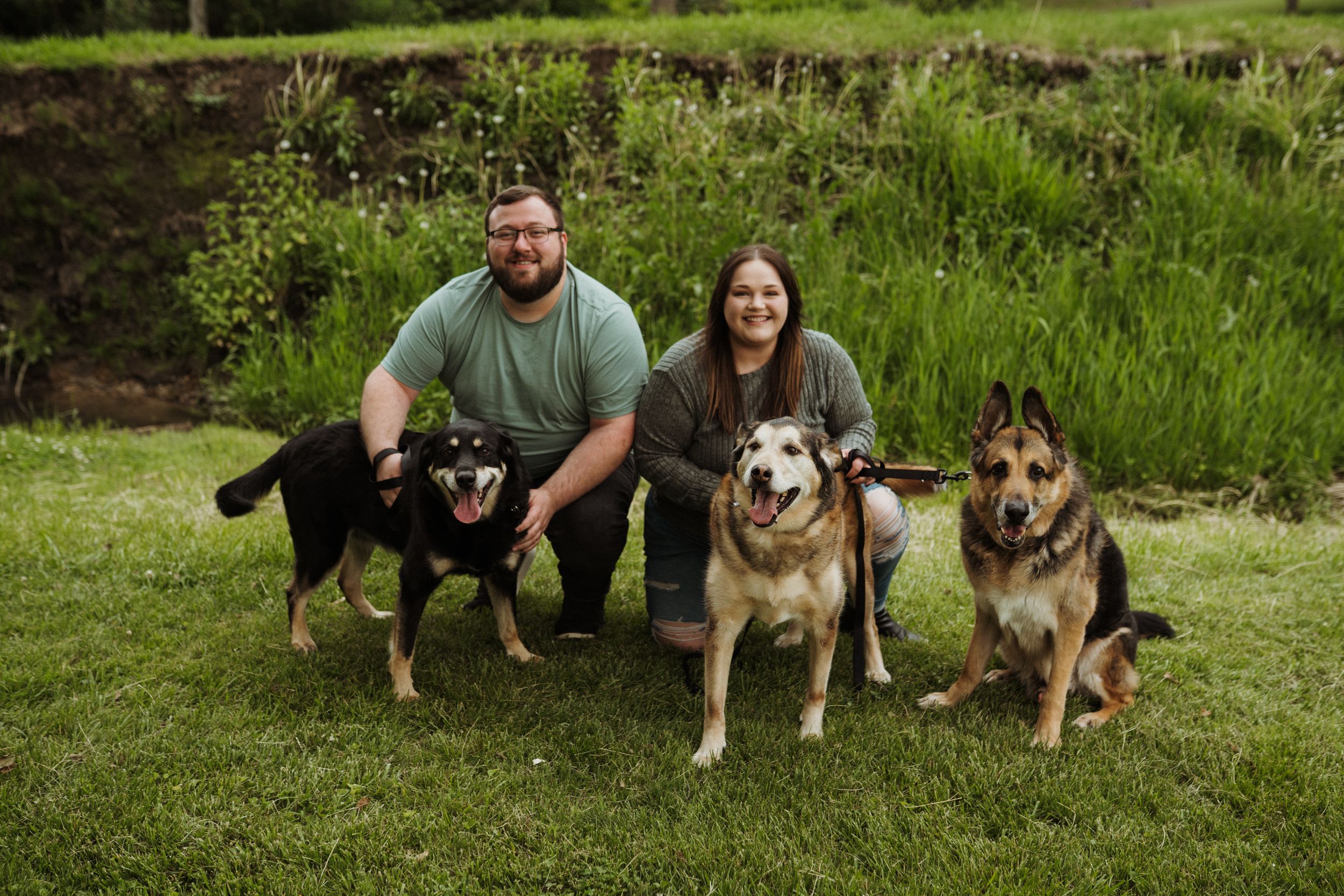 Several dogs and their owners gather for a group photo on a grassy slope.