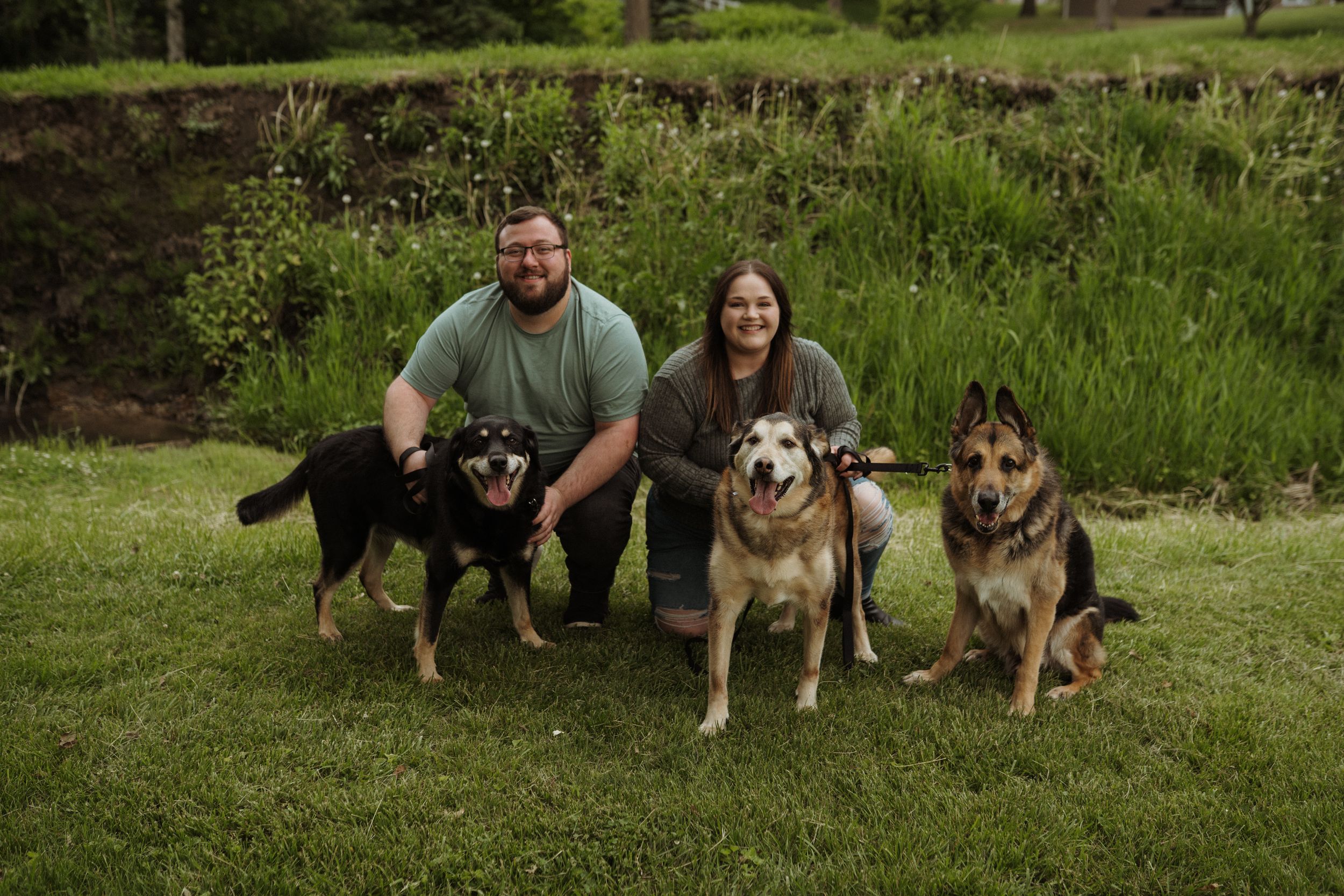 Three dogs and their owners pose together on a grassy hillside during a photo session.