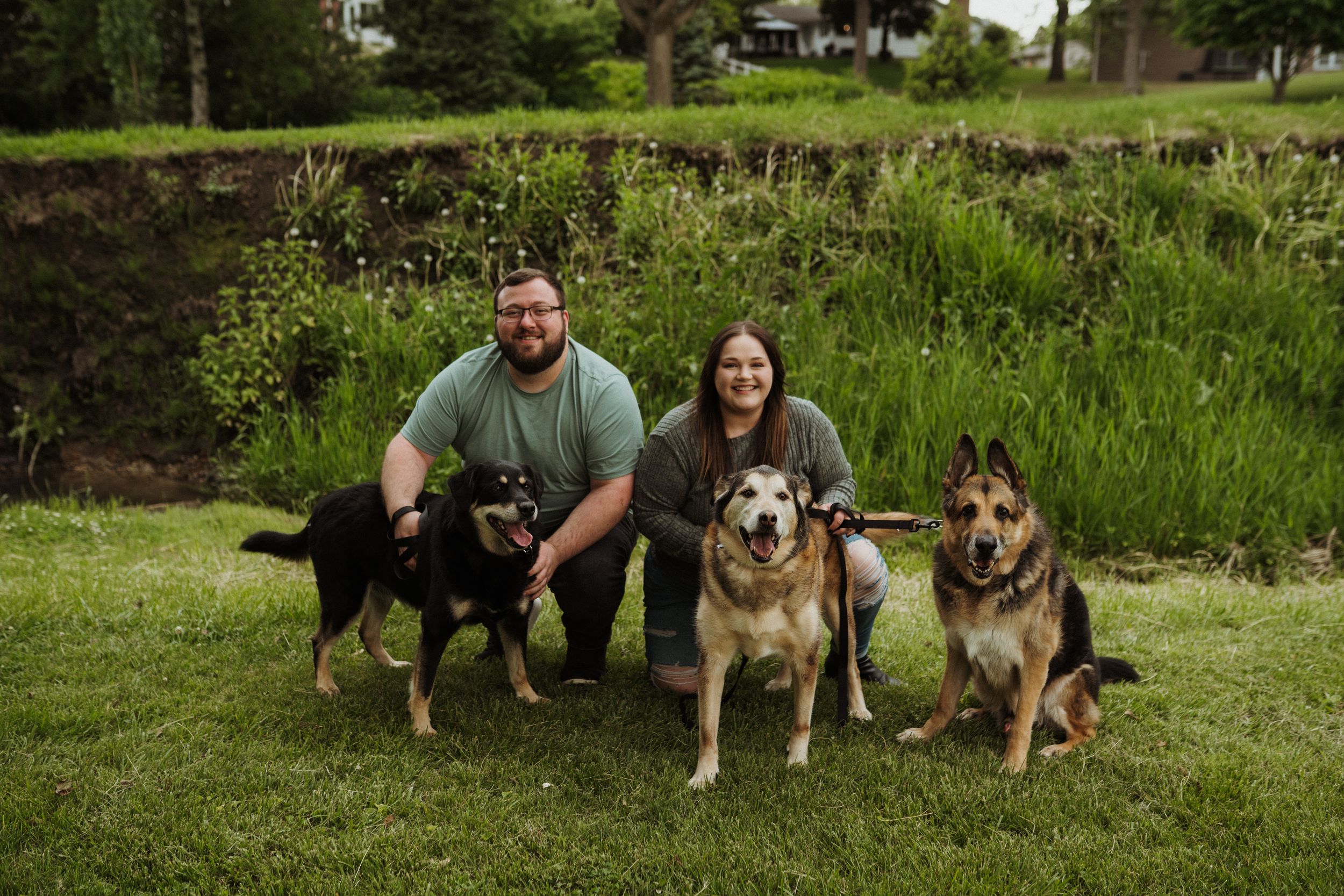 A group of German Shepherds and mixed breed dogs sit with their owners in a lush green park setting.