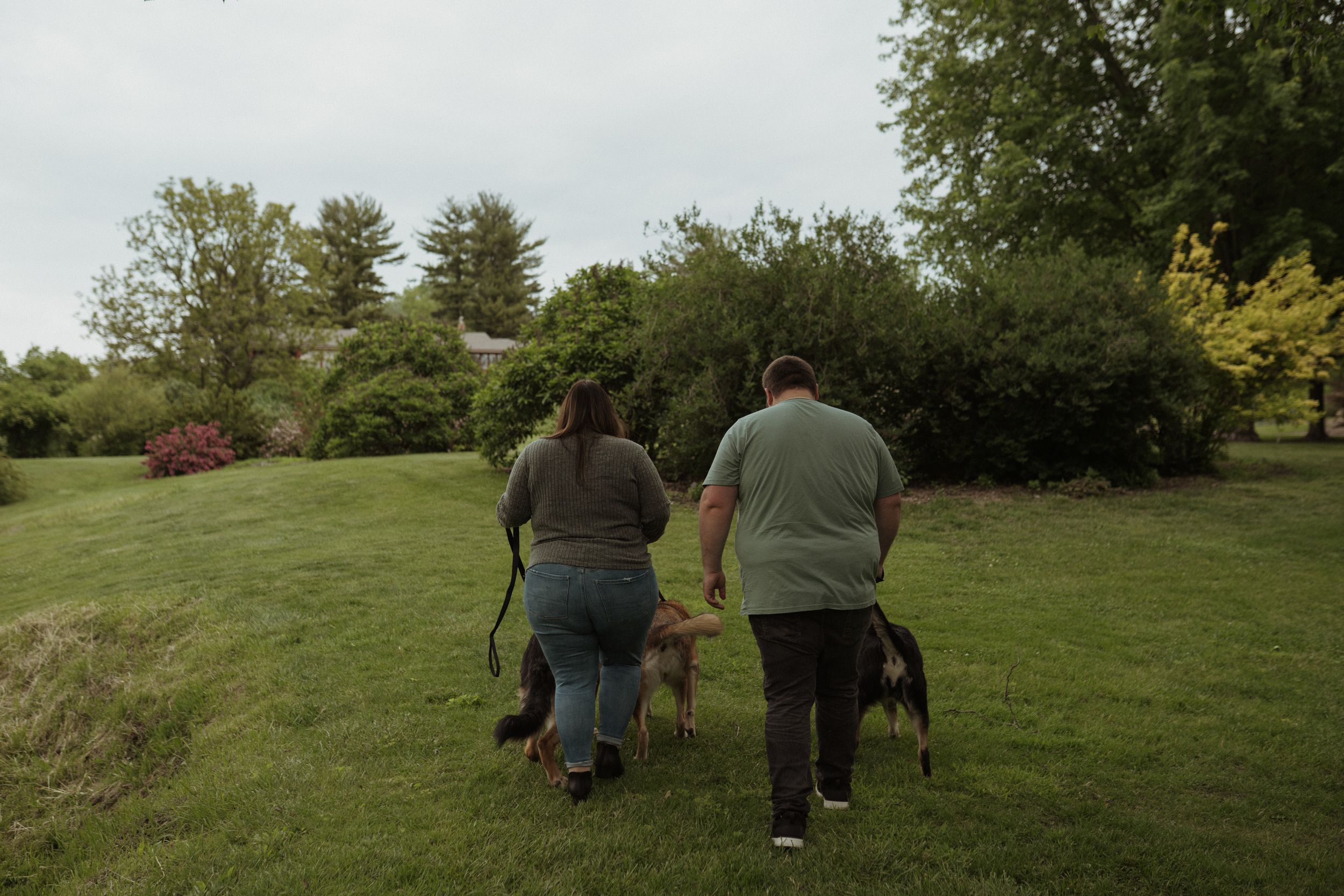 People and their pets enjoy a sunny afternoon in a scenic park setting.