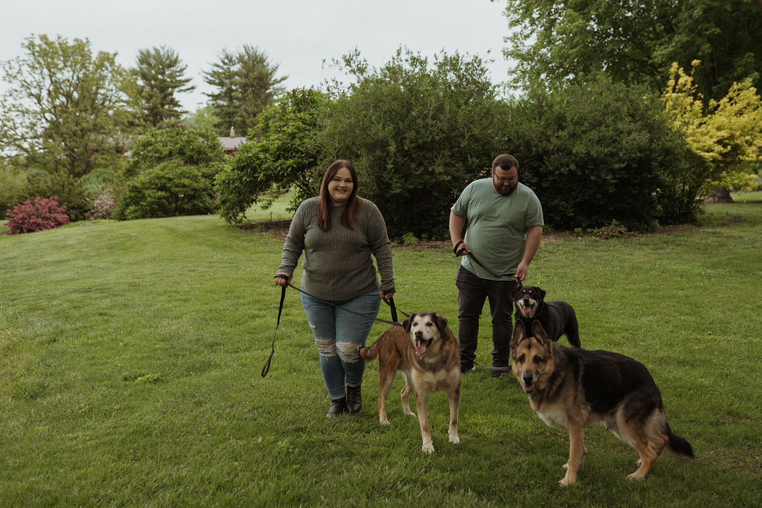 Dogs and their owners walk together on a grassy path surrounded by trees.