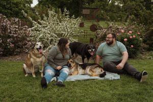 A peaceful outdoor gathering with multiple dogs and their companions on a grassy lawn with blooming trees.