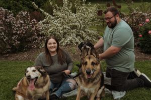 A relaxed outdoor photo session with multiple dogs and their companions among blooming trees.