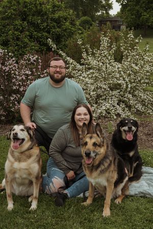 A group photo session with four large dogs including a German Shepherd and Lab on a blanket outdoors.