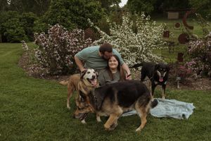 Spring photoshoot featuring multiple dogs and their companions in a garden setting.