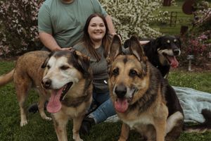 Happy dogs and their companions share affectionate moments during a spring photoshoot.