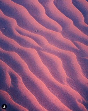 Pink sand dunes create rippling wave patterns in desert landscape during sunset lighting.