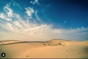 Panoramic desert landscape with rolling sand dunes stretching to the horizon under a vibrant blue sky with wispy clouds.