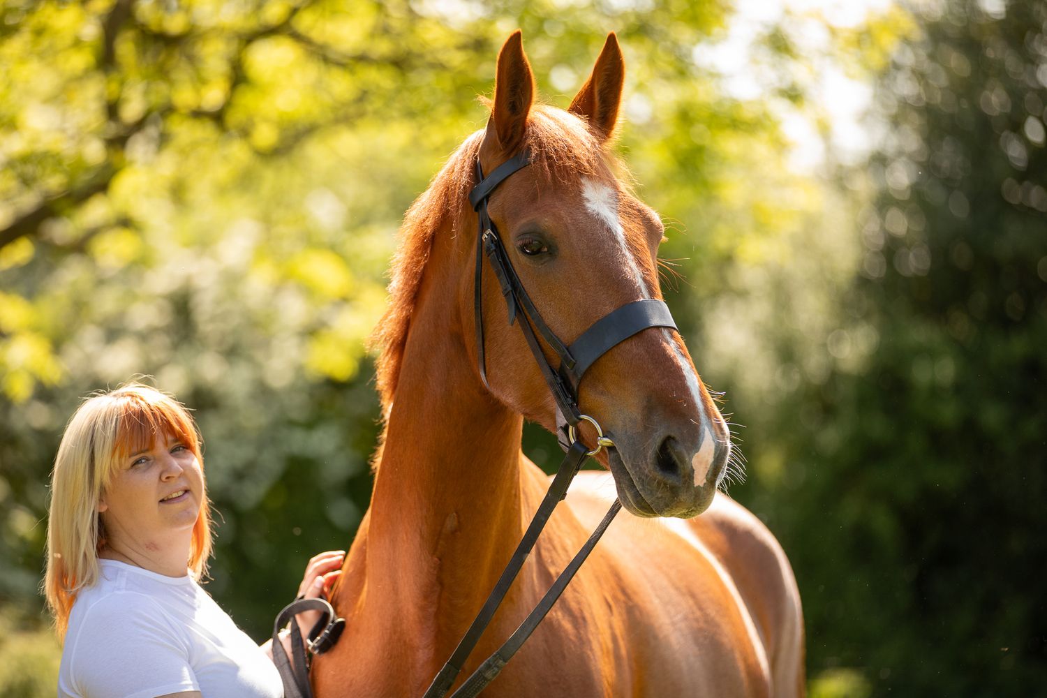 Someone wearing a white patterned top lovingly strokes a brown horse in a sunny outdoor setting.