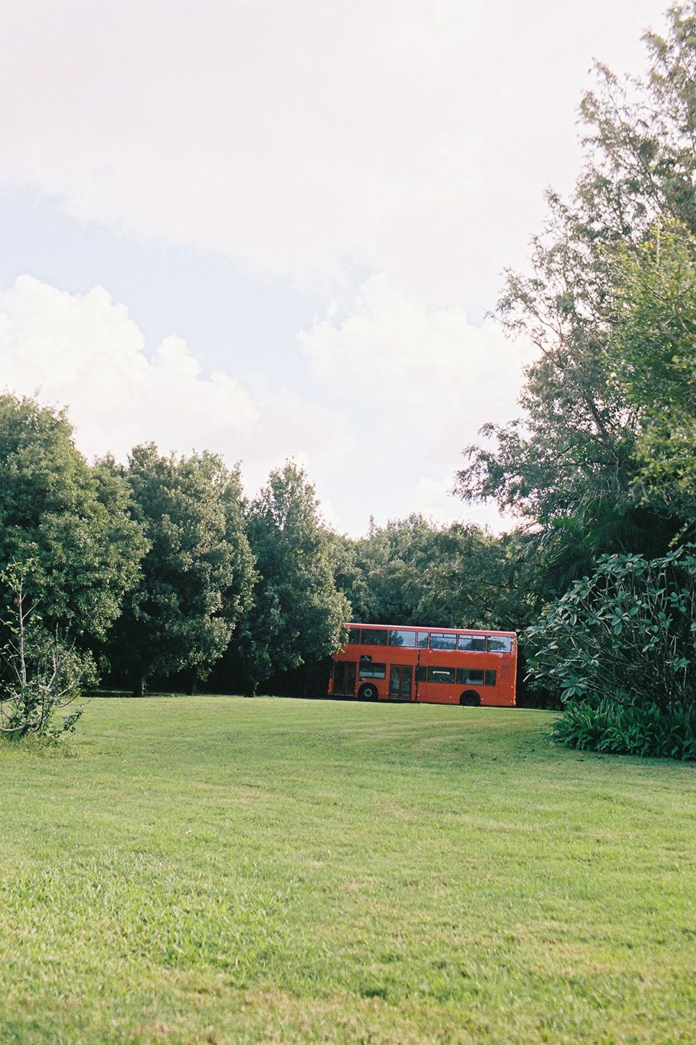 A vibrant red double-decker bus parked among lush green trees in a scenic park on a partly cloudy day.