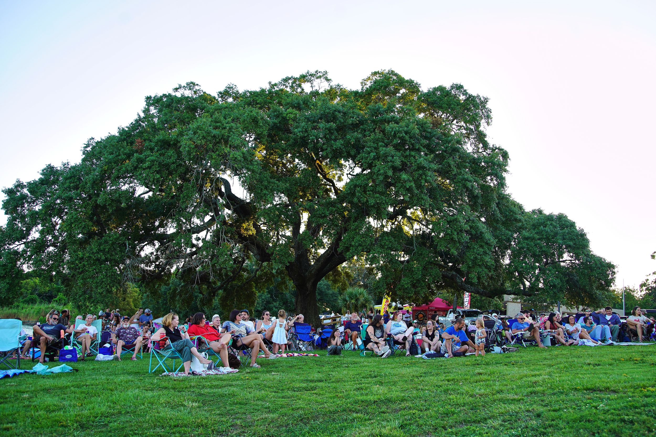 Crowd gathered on green lawn beneath a massive oak tree at an outdoor event in a park at dusk.