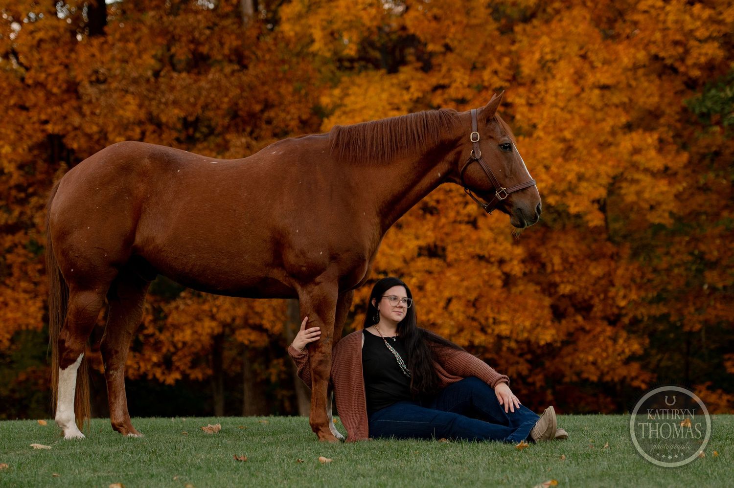 A majestic brown horse stands on a hill as fall colors glow in the background during a sunset photoshoot.