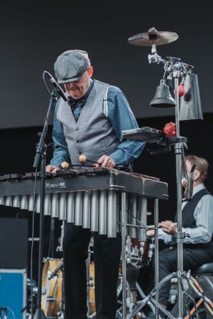 Musician plays a vibraphone on stage during a jazz performance.