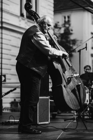Black and white photo of a jazz musician playing upright bass on stage during a performance.