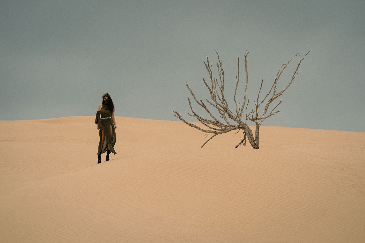 A series of silhouetted figures walking across sandy desert dunes against a pale sky.