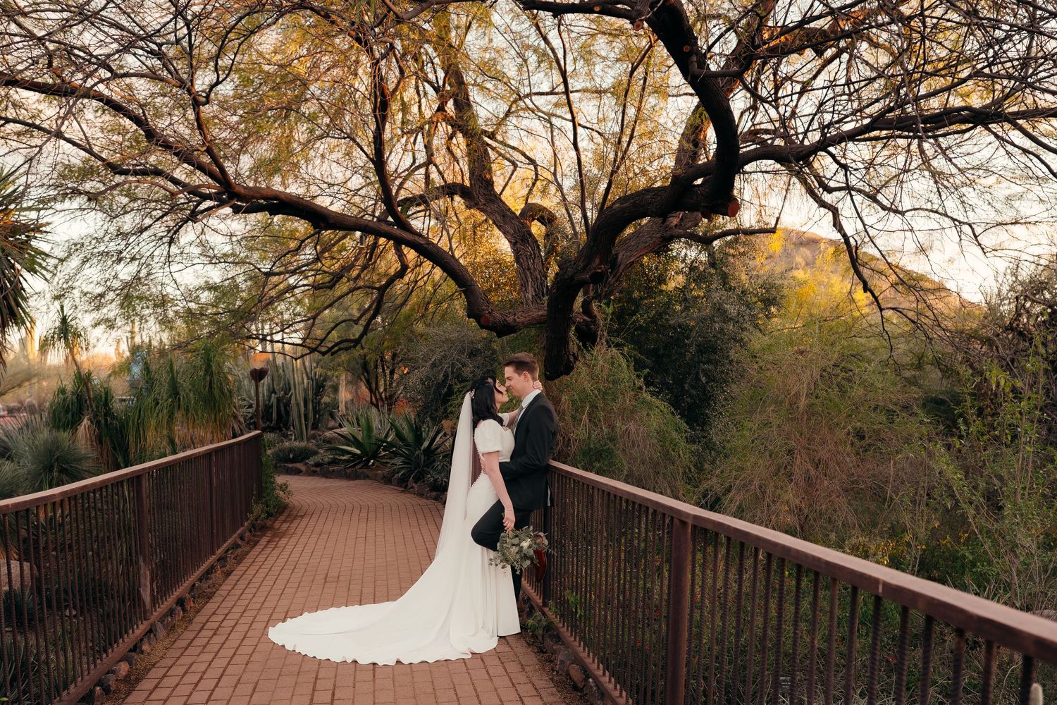 Arizona family wedding photographer travel photographer birth maternity photography