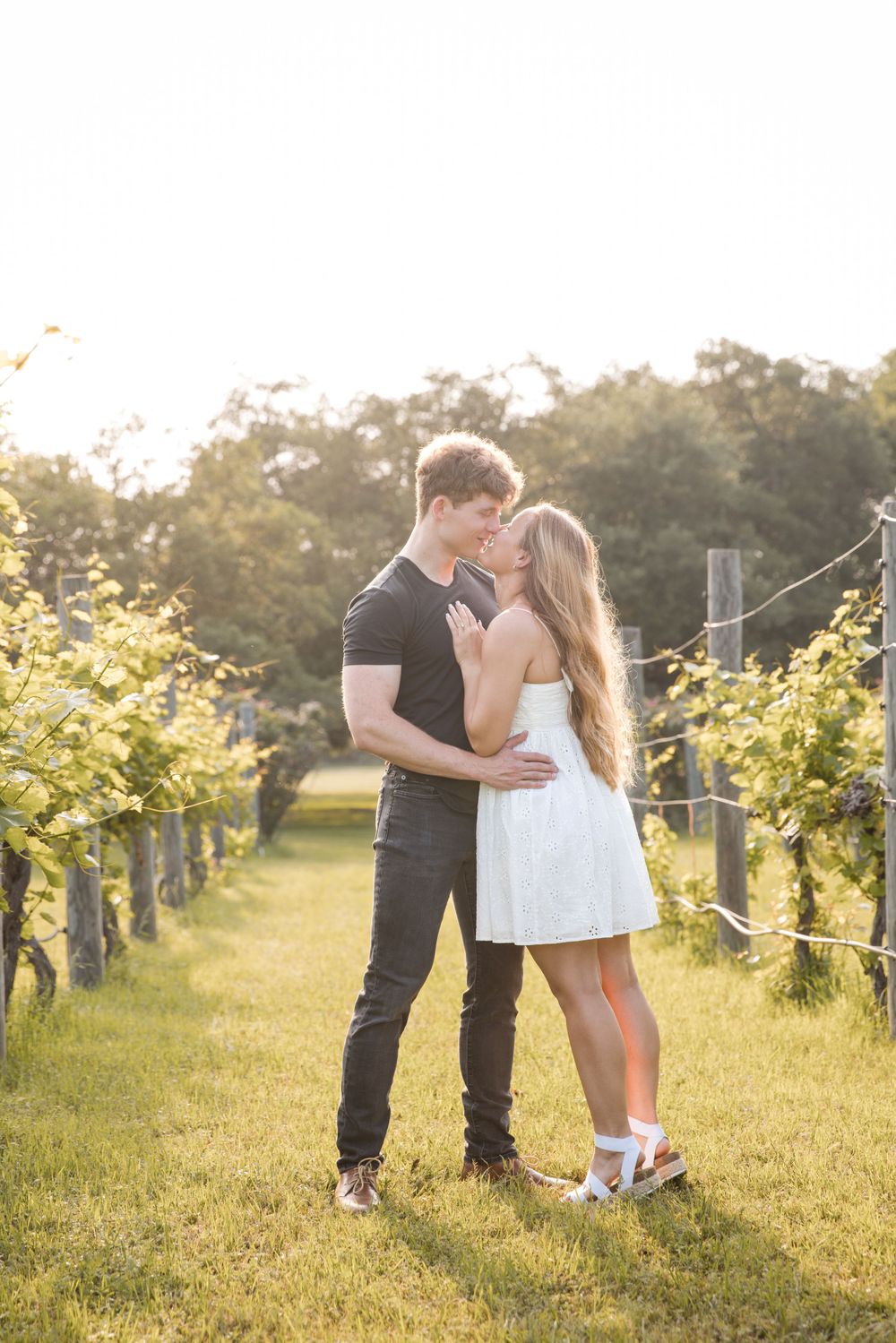 Romantic couple embraces in sunlit vineyard at sunset while surrounded by grapevines on a warm summer evening.