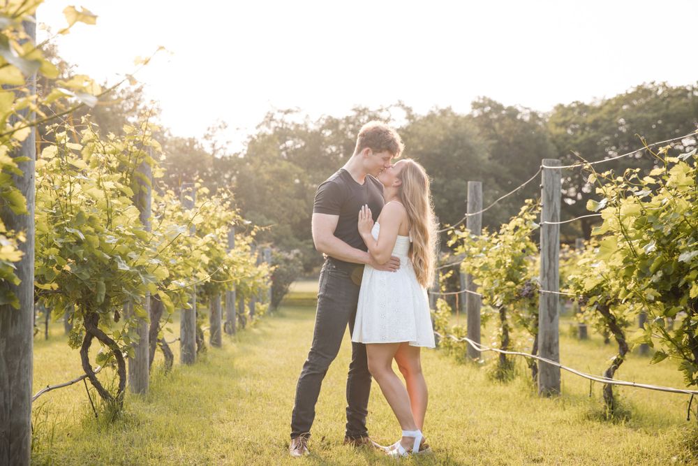 A couple shares a romantic moment among vineyard rows on a sunny afternoon with golden light filtering through the vines.