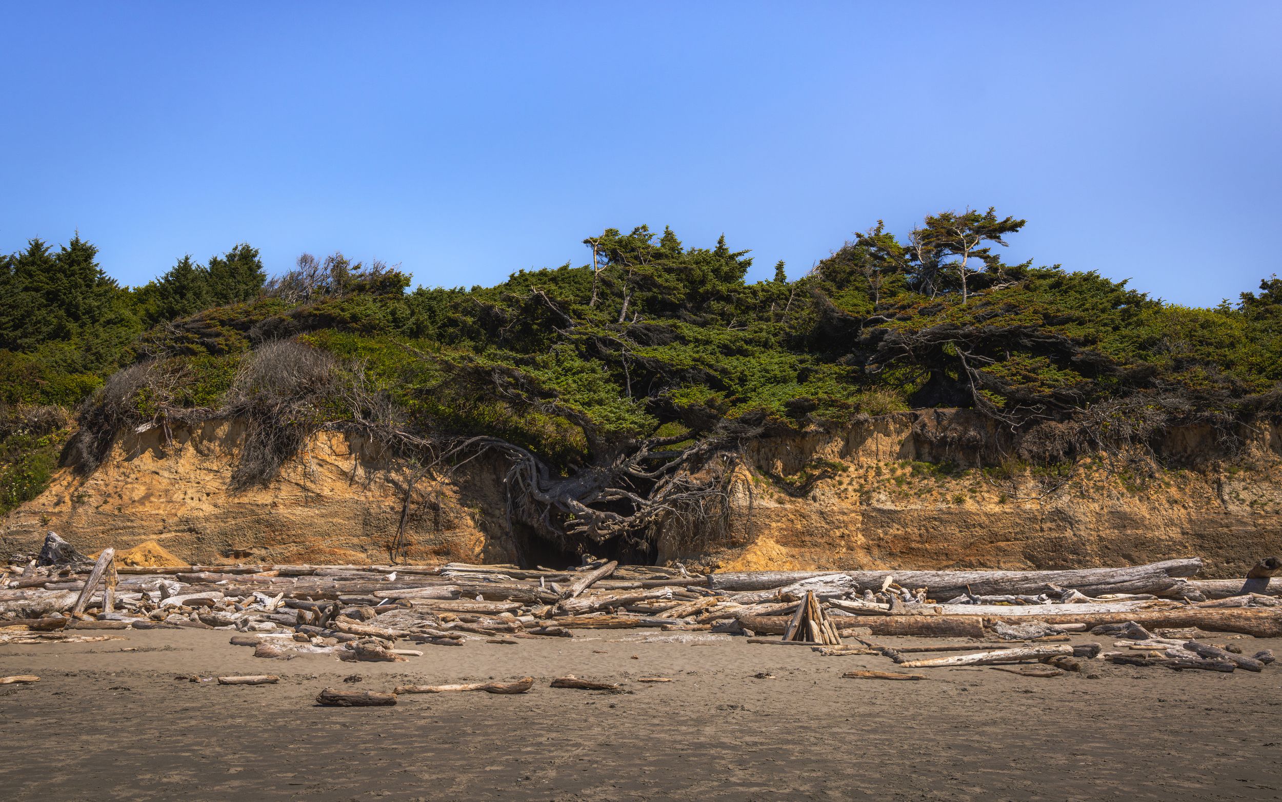 Olympic National Park