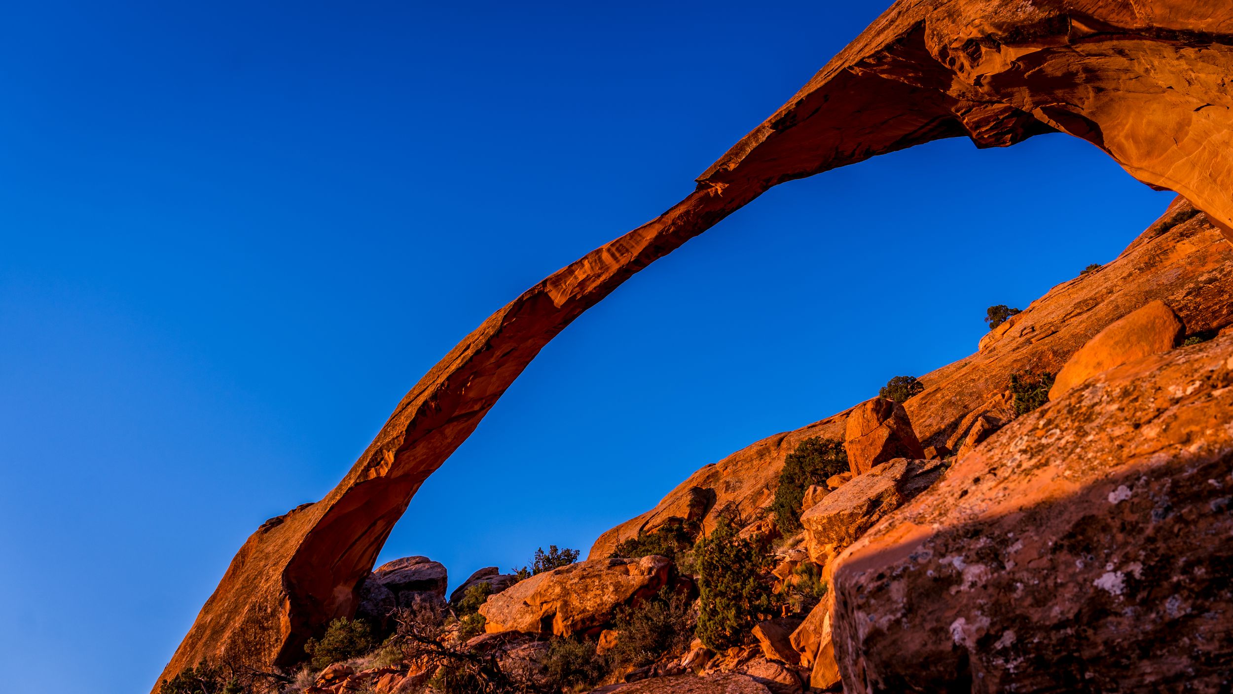 Landscape Arch stretches across vibrant red rocks against bright blue sky.