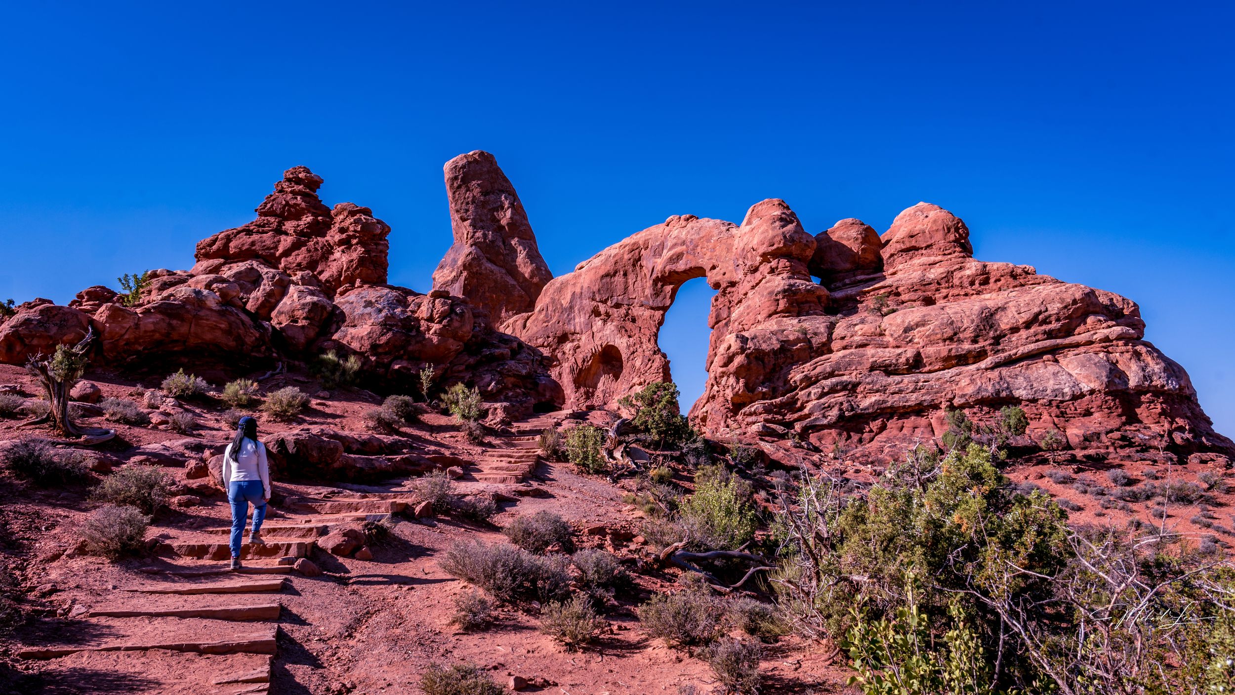 Natural stone arch formation in red sandstone with desert vegetation.
