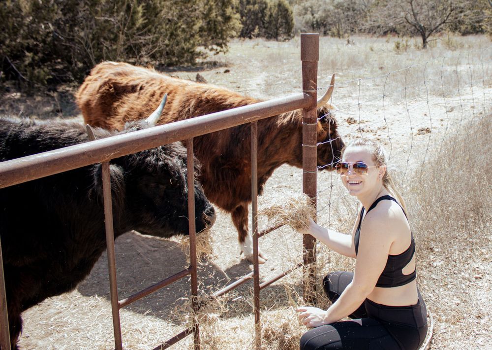 Someone wearing a black sports top pets a brown and white cow through metal fence bars on a rural farm.