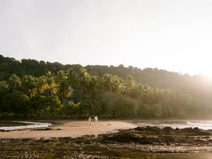 Wide angle view of tropical beach landscape with palm trees and volcanic rocks.