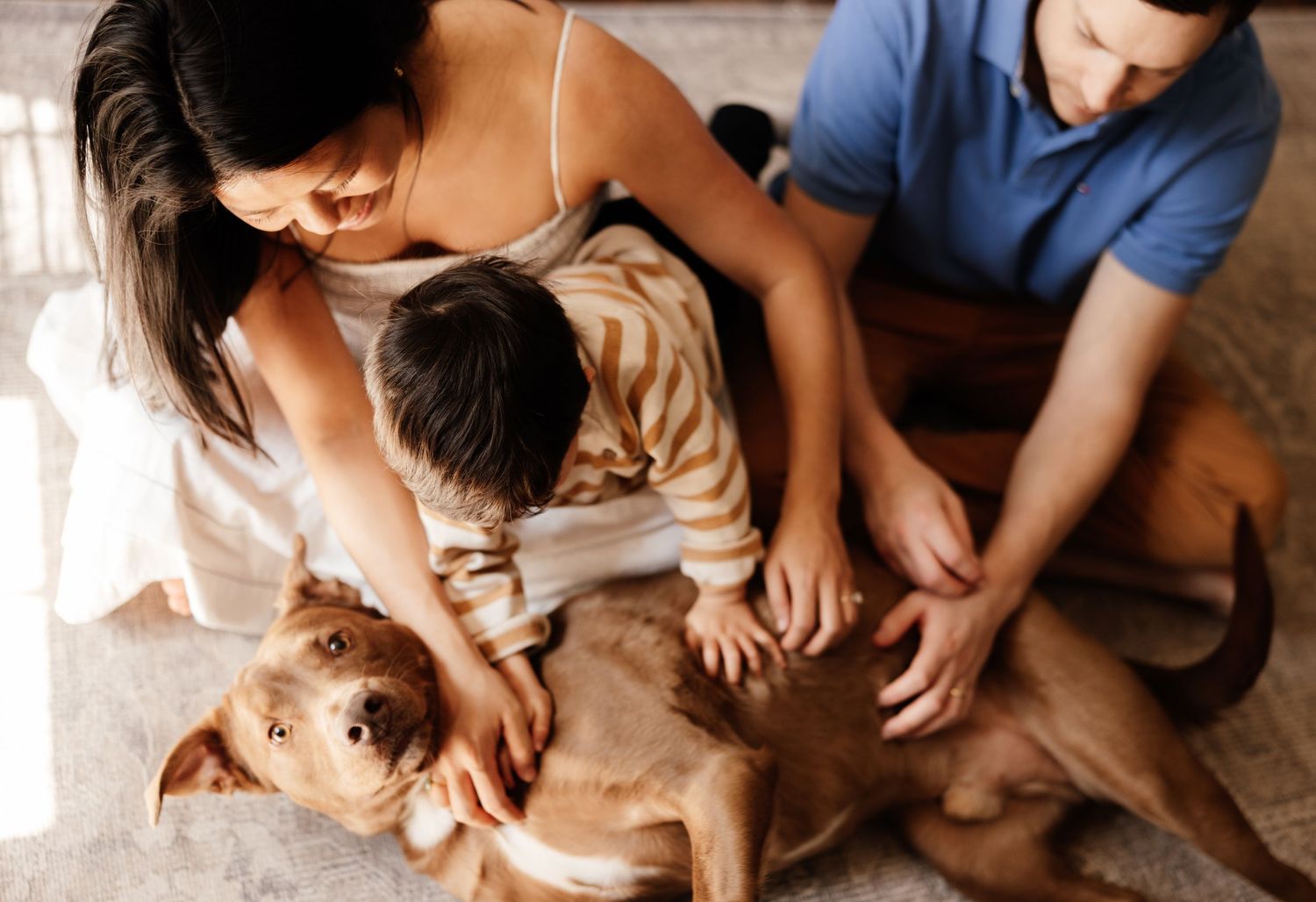 Family gathers around on floor to pet and interact with their friendly brown dog at home.
