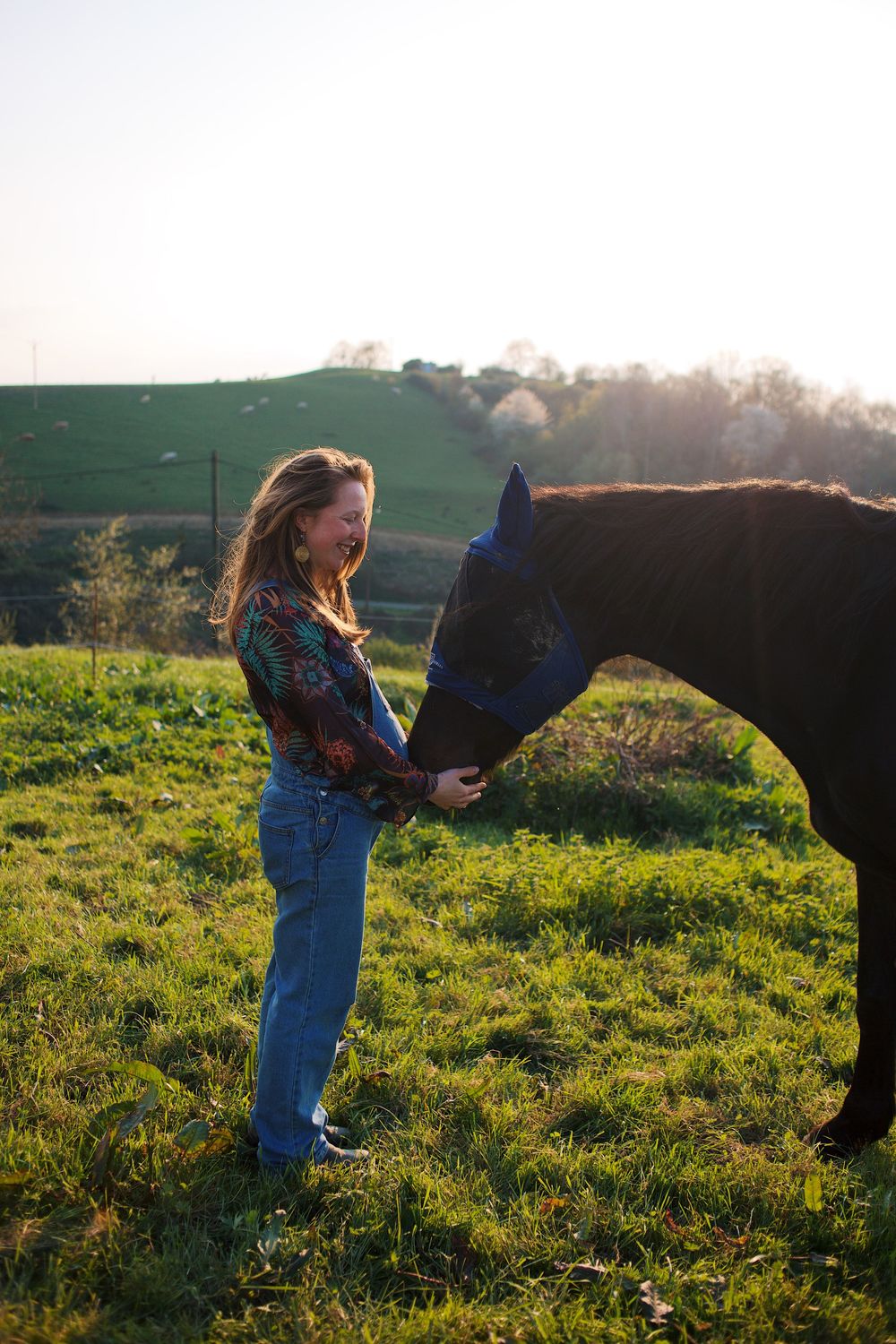 Young woman feeding a dark horse in a sunny green pasture, enjoying a peaceful moment outdoors.