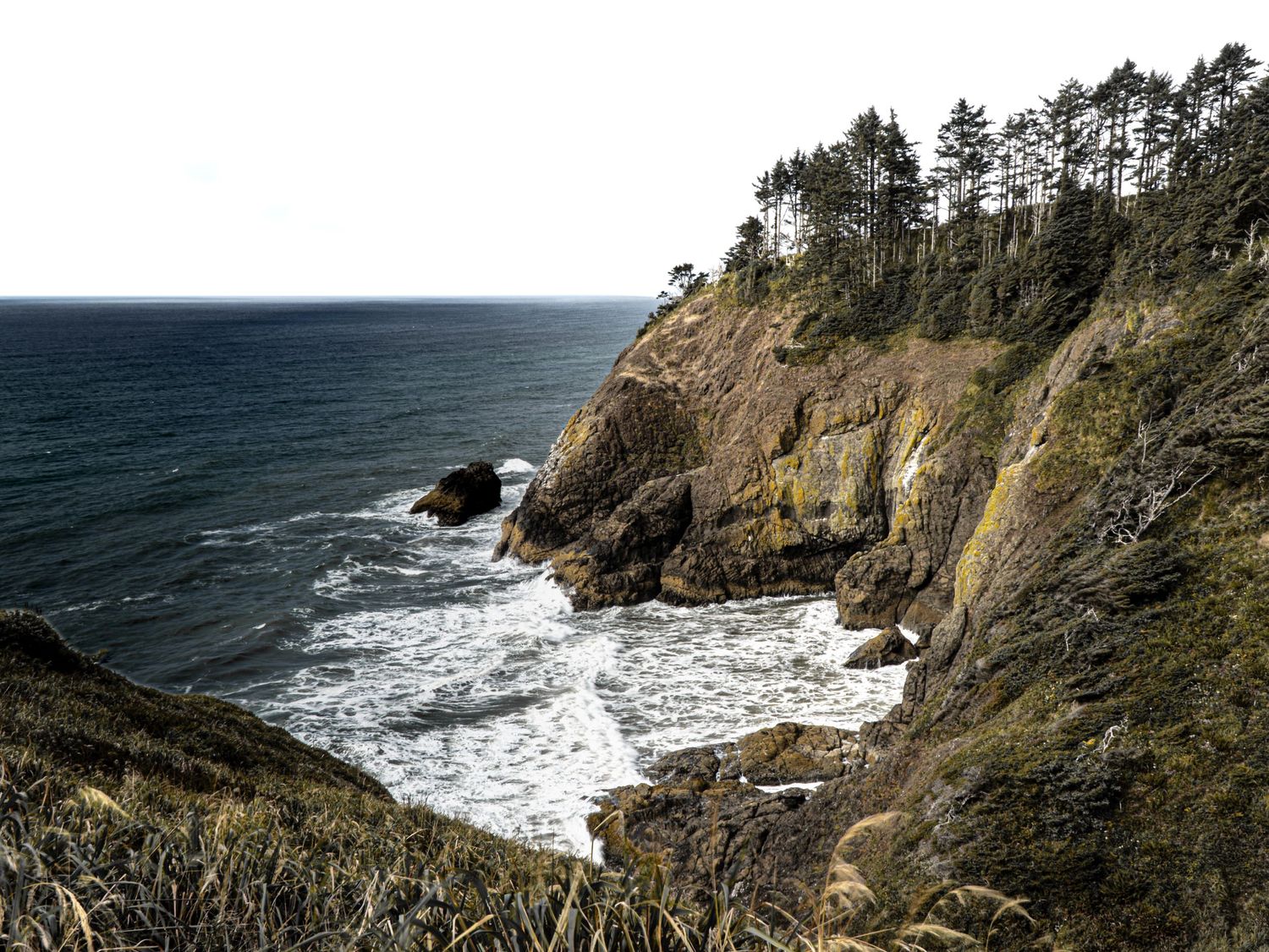 Rugged coastal cliffs with pine trees overlook the crashing waves of the Pacific Ocean on a cloudy day.