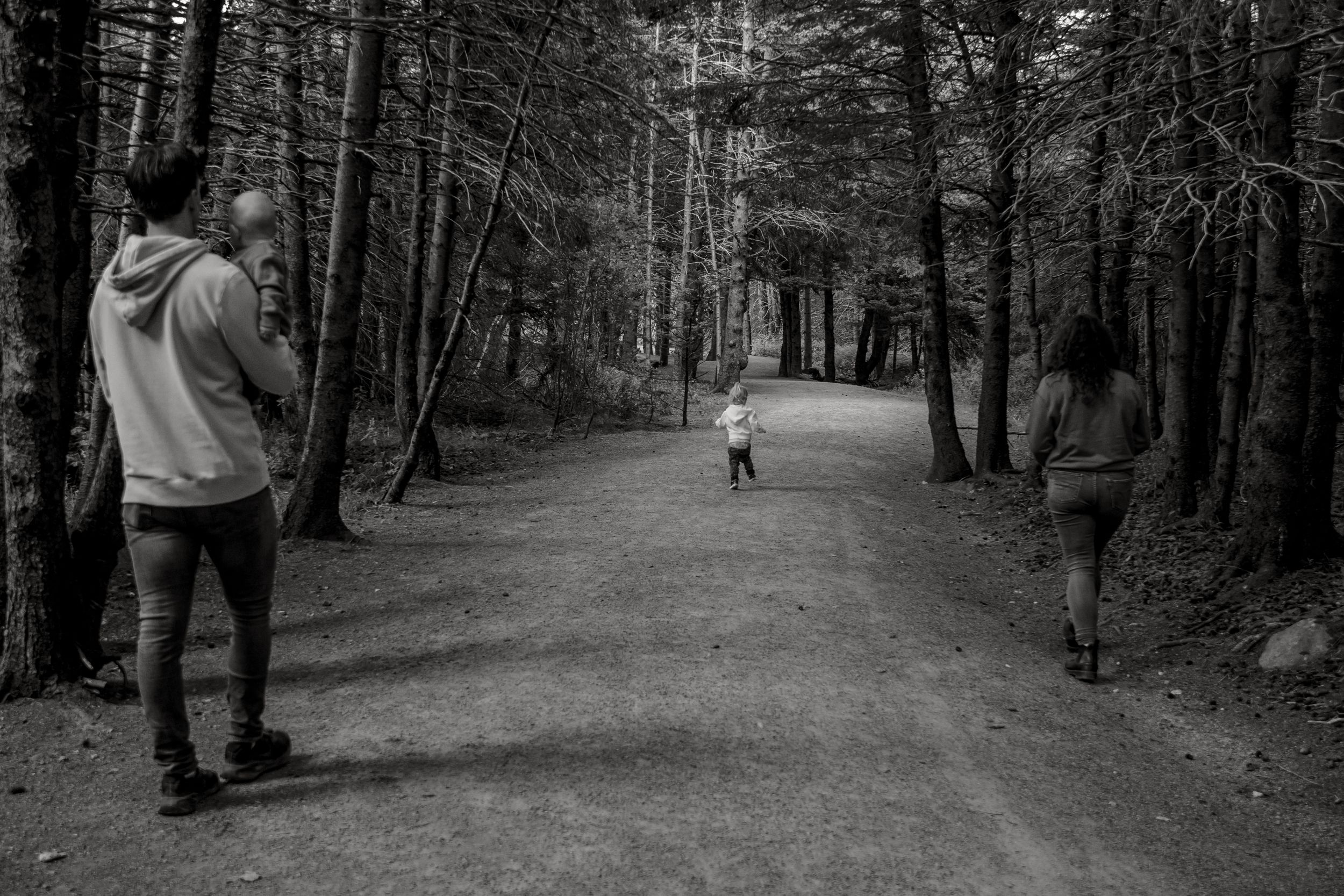 People walk along a winding forest path in black and white, surrounded by tall pine trees on both sides.