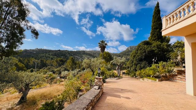 Mediterranean terrace with mountain views, olive trees, and stone pathways.