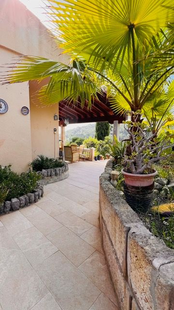 Stone pathway lined with palm trees and tropical plants leading to covered patio area.