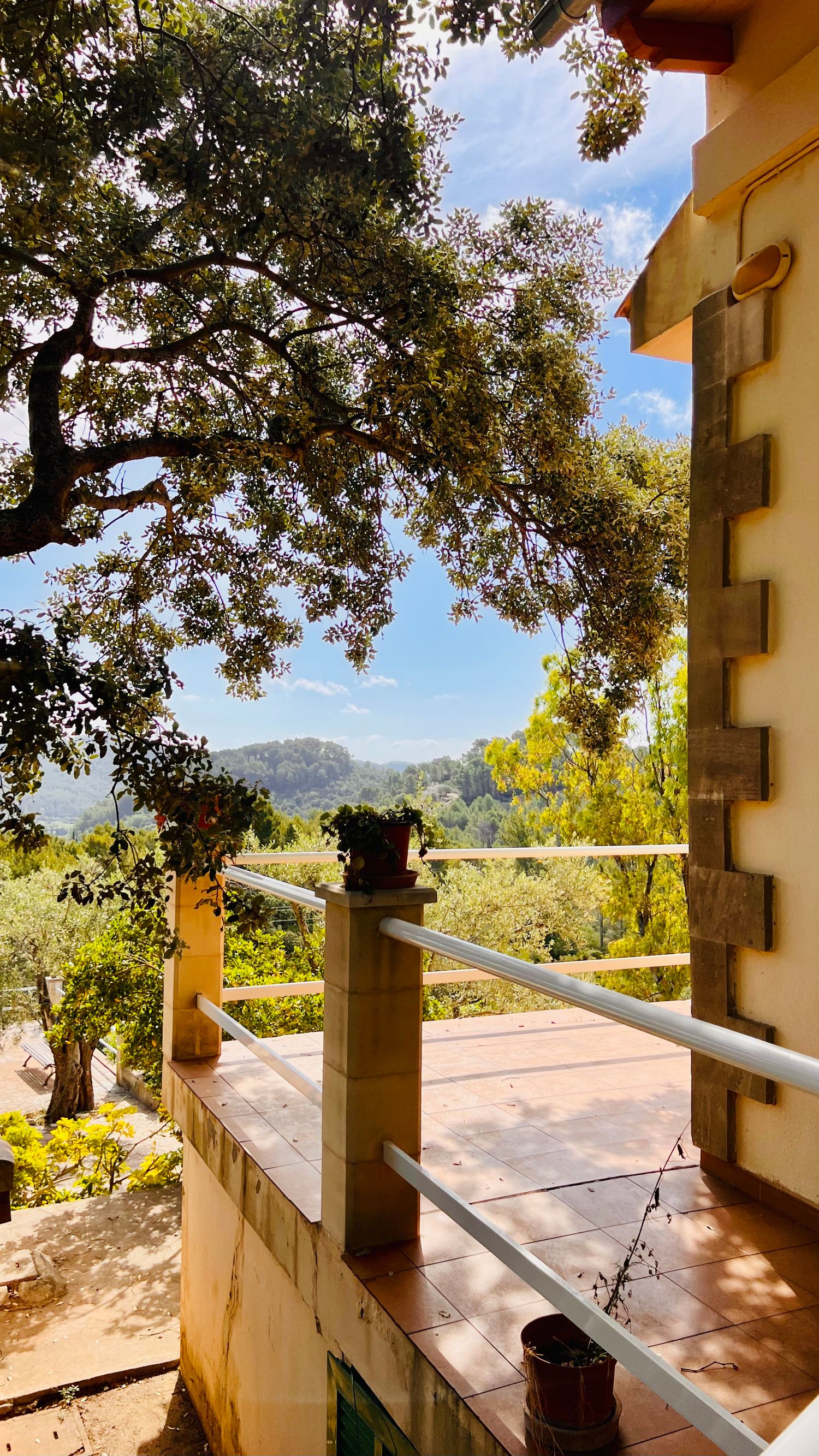 Stone pillar terrace with overhanging tree branches and mountain vista in the background.